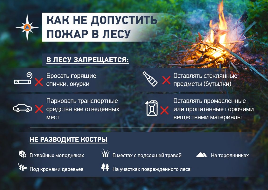 Памятка по пожарной безопасности в лесных массивах.